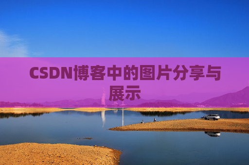 CSDN博客中的图片分享与展示